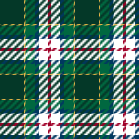 DG/84 O4 G32 DB14 DT32 DR/10 tartan Tartan detail
