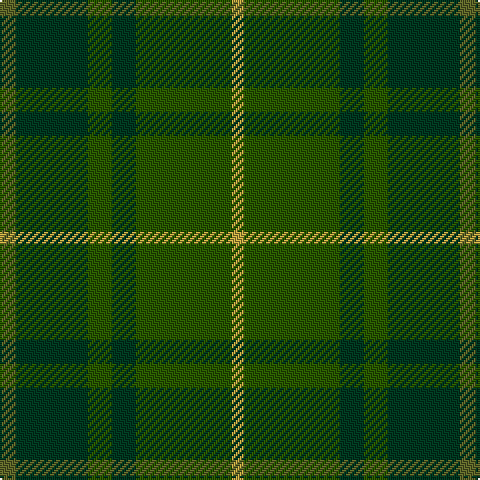 Tartan detail