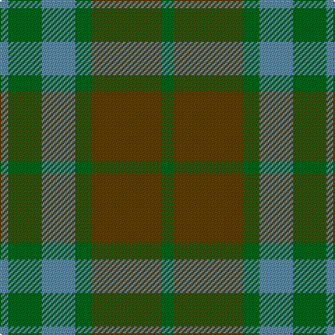 B/6 G24 B24 G12 T50 G/8 tartan Tartan detail
