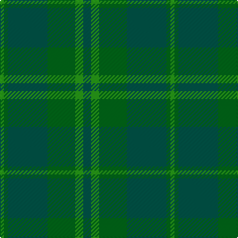 Tartan detail