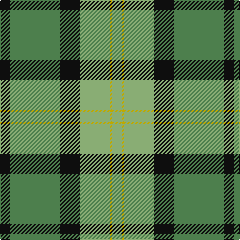 Tartan detail
