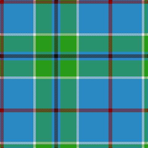 DR/12 B96 LN8 Ga52 B8 K/12 tartan Tartan detail