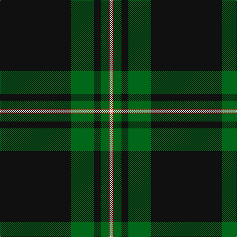 K/144 G46 K14 G16 R2 LN/6 tartan Tartan detail
