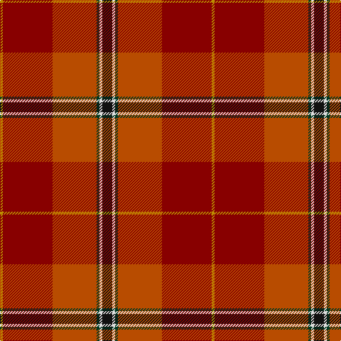 Tartan detail