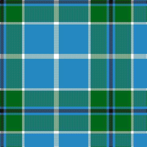 Tartan detail