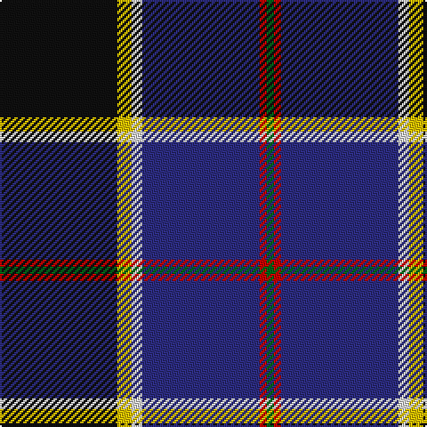 G/4 R4 DB66 LN6 Y8 K/66 tartan Tartan detail