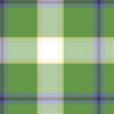 N/16 B16 LG124 LY8 W16 T/64 tartan Tartan detail