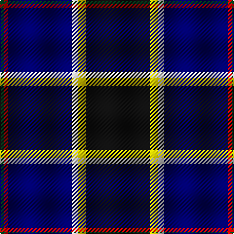 G/4 R4 DB66 LN6 Y8 K/66 tartan Tartan detail