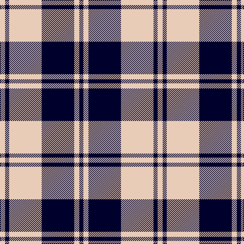 DB/8 LR10 DB64 LR64 DB8 LR/10 tartan Tartan detail