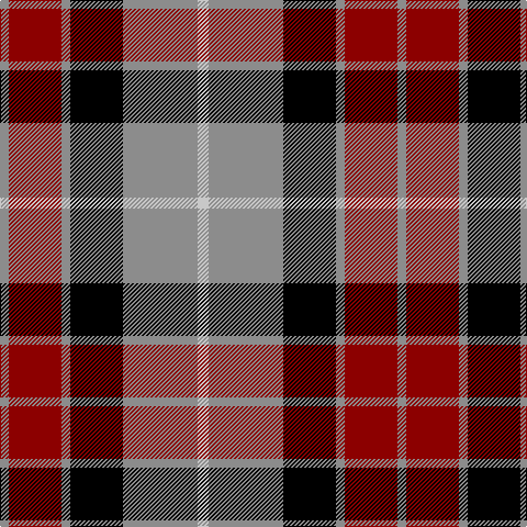 N/8 DR48 N8 K48 N68 Na/10 tartan Tartan detail
