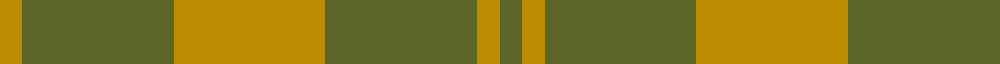 Barbie's Moss Plaid (Yellow & Green) example sett