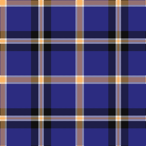 LG/16 LN6 DB80 K24 LN6 LG/6 tartan Tartan detail