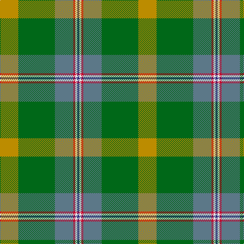 DB/4 LN4 R4 B36 G72 DY/36 tartan Tartan detail