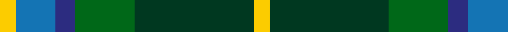 MPS Emerald Society example sett