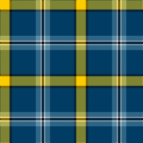 K/8 W4 B16 DB80 K8 Y/32 tartan Tartan detail