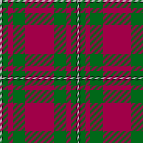 N/6 K4 G17 R16 G42 R/96 tartan Tartan detail