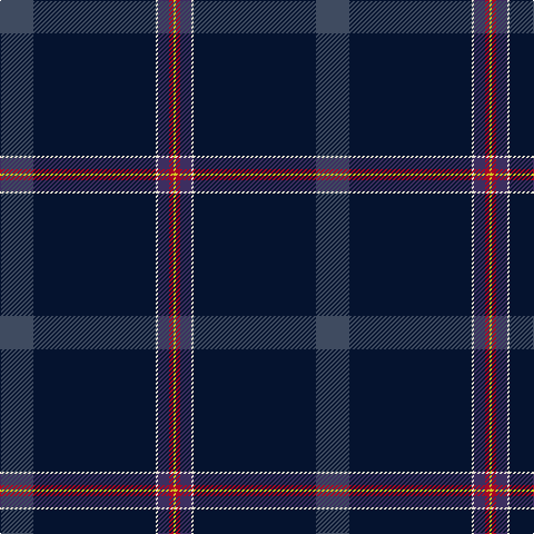 N/30 DN110 W2 DB10 DR4 Y/2 tartan Tartan detail
