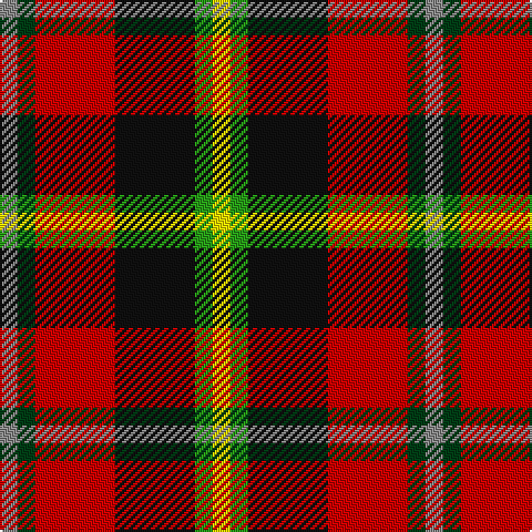 N/8 DG8 R36 K36 G8 Y/8 tartan Tartan detail