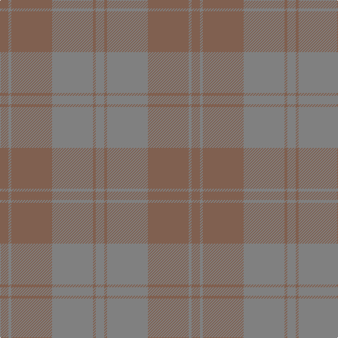 LT/12 N4 LT58 N58 LT4 N/12 tartan Tartan detail