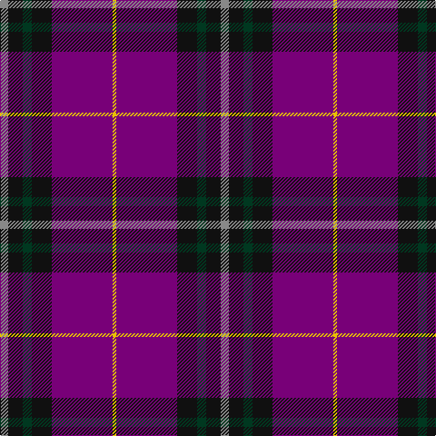 N/9 K16 DG10 K22 P67 Y/4 tartan Tartan detail