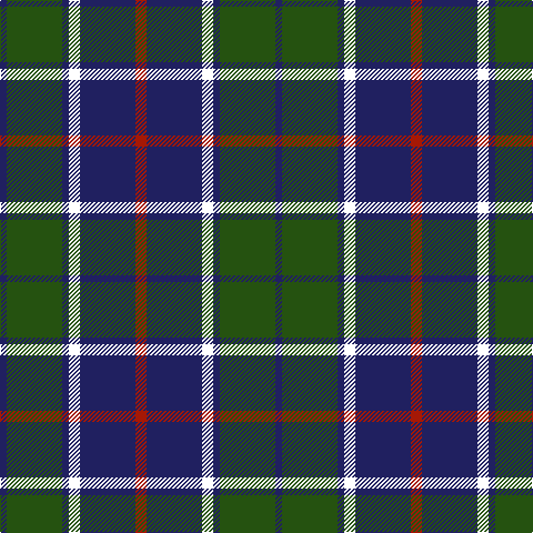 DB/6 G50 DB6 W10 DB50 DR/10 tartan Tartan detail