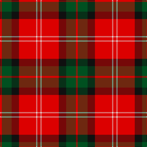 R/6 G32 K24 R56 LN4 R/10 tartan Tartan detail