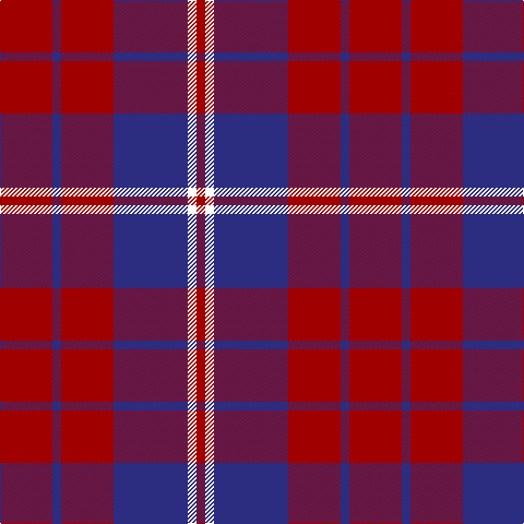 DR/48 DB8 DR48 DB68 W8 DR/8 tartan Tartan detail