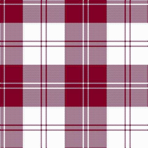 DR/12 W4 DR58 W58 DR4 W/12 tartan Tartan detail