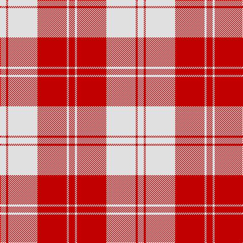 LN/12 R4 LN58 R58 LN4 R/12 tartan Tartan detail
