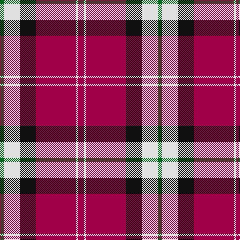 G/8 LN32 K32 R80 LN4 R/12 tartan Tartan detail