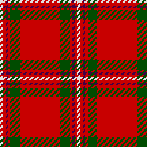 LN/10 R8 DP8 R8 G32 R/130 tartan Tartan detail