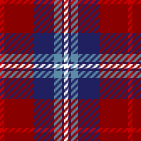 R/15 DR98 DB72 B25 DB8 W/15 tartan Tartan detail
