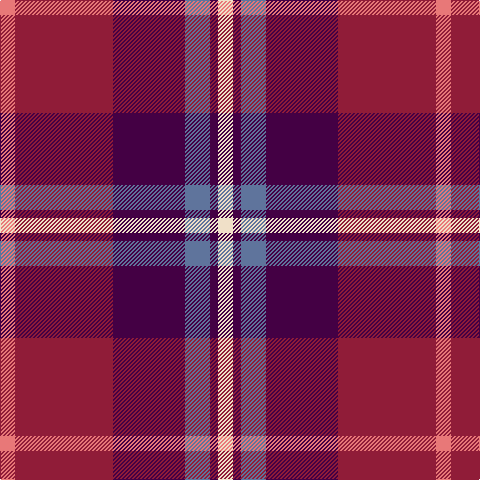 LR/15 DR98 DP72 B25 DP8 W/15 tartan Tartan detail