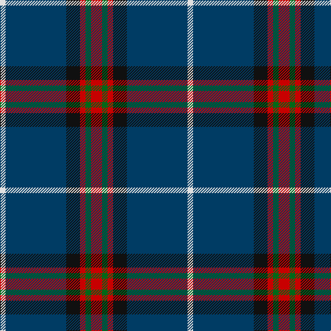 LN/8 DB88 K20 R8 G8 R/16 tartan Tartan detail