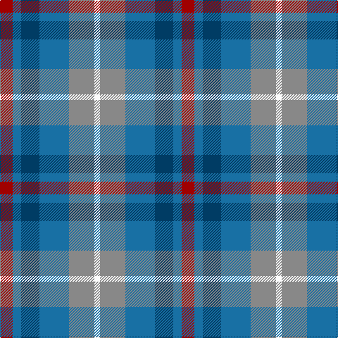DR/18 B12 DB26 B42 N36 W/8 tartan Tartan detail