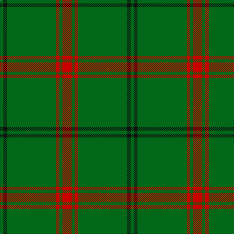 G/7 K7 G101 R7 G6 R/19 tartan Tartan detail