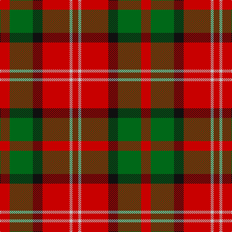 Tartan detail