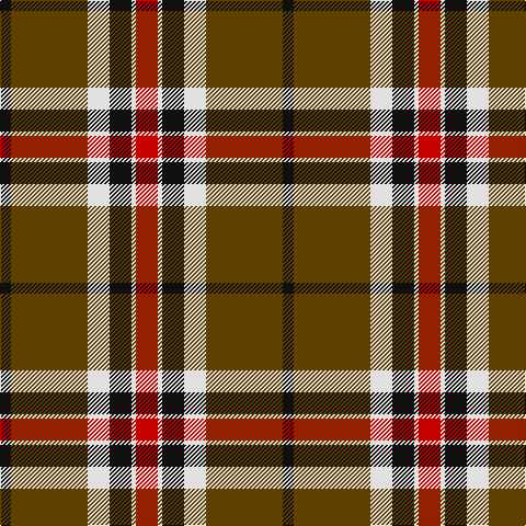 Tartan detail