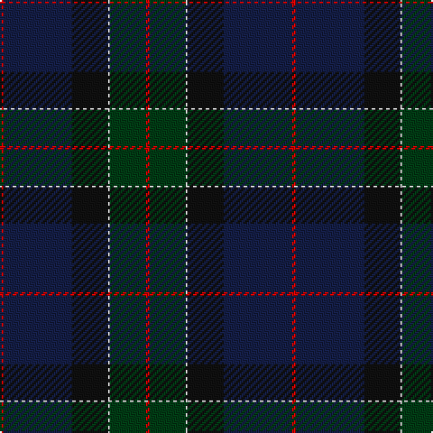 R/2 DB38 K20 LN1 DG20 R/2 tartan Tartan detail