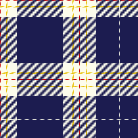 R/2 W20 Y4 W32 DB80 W/2 tartan Tartan detail