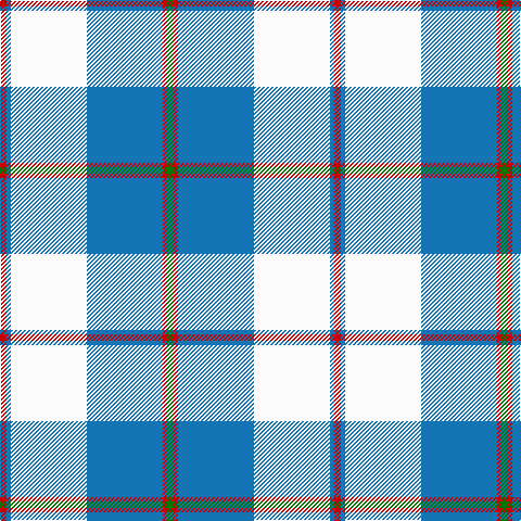 R/6 B4 W70 B70 R4 G/6 tartan Tartan detail