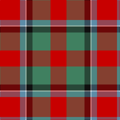 R/80 B22 W4 K24 G72 R/64 tartan Tartan detail