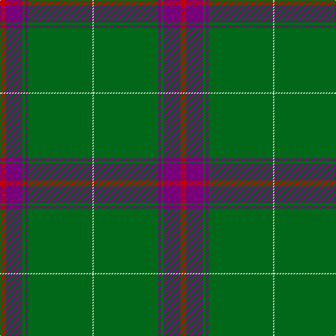 LN/2 G92 P4 G4 P24 R/8 tartan Tartan detail