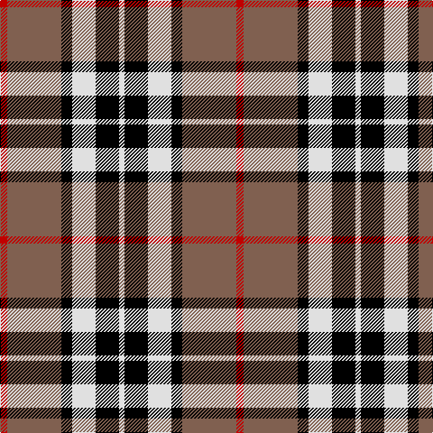Tartan detail