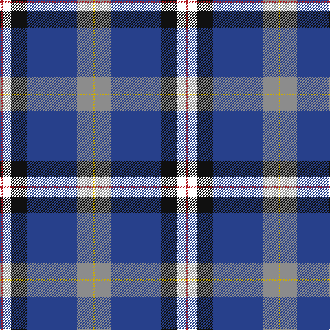 R/4 W12 K24 B72 N24 Y/2 tartan Tartan detail