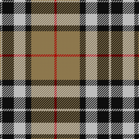 Tartan detail