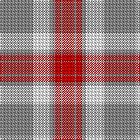 N/56 W30 N8 R10 N3 R/20 tartan Tartan detail