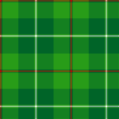 R/6 G4 Ga64 G64 Ga4 W/6 tartan Tartan detail