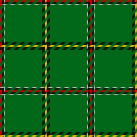 Tartan detail