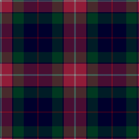N/6 DR36 DB4 DG36 DB48 R/2 tartan Tartan detail